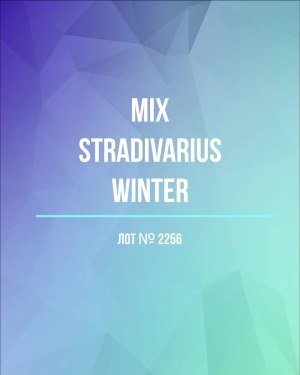 Купить STRADIVARIUS Winter mix#15 кг, ЛОТ №2256 оптом в Екатеринбурге и Свердловской области