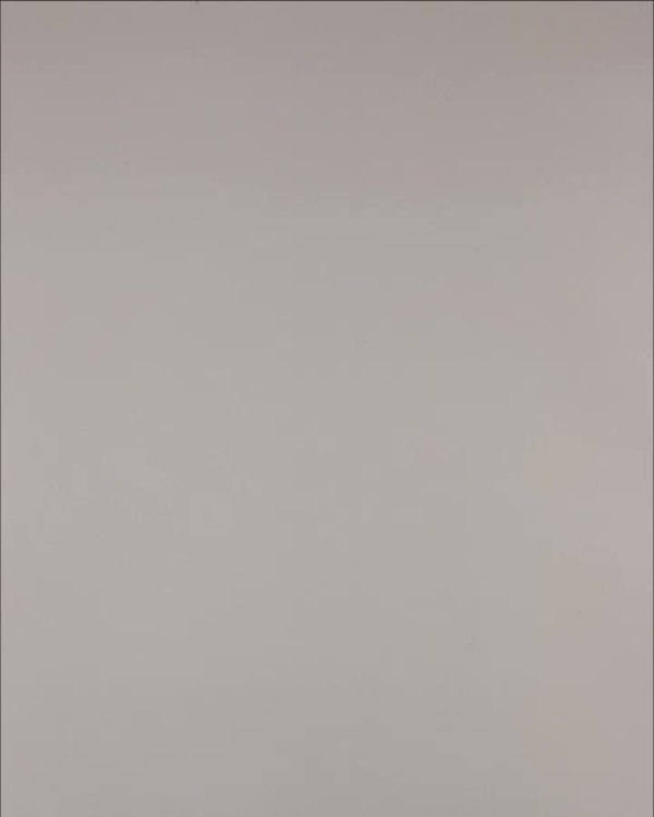 Фотография  469 - Нижнее белье Bon Prix дети#50 шт, ЛОТ №3242 оптом в Екатеринбурге и Свердловской области