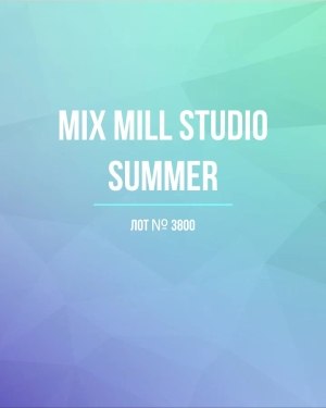 Купить MILL STUDIO Summer mix#15 кг, ЛОТ №3800 оптом в Екатеринбурге и Свердловской области