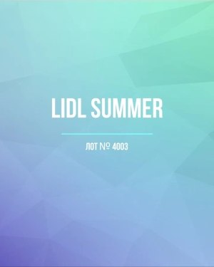 Купить LIDL Summer#20 кг, ЛОТ №4003 оптом в Екатеринбурге и Свердловской области