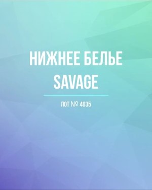 Купить Нижнее белье Savage, 50 шт, ЛОТ №4035 оптом в Екатеринбурге и Свердловской области