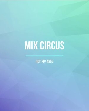 Купить CIRCUS mix #13 кг, ЛОТ №4257 оптом в Екатеринбурге и Свердловской области