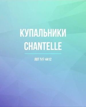 Купить Купальники Chantelle#23 шт, ЛОТ №4412 оптом в Екатеринбурге и Свердловской области