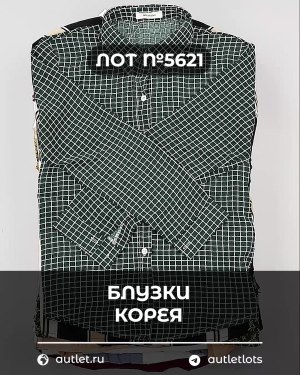 Купить Блузки Корея#20 шт, ЛОТ №5621 оптом в Екатеринбурге и Свердловской области