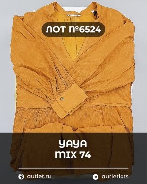 Купить YA YA 062024#39 шт, ЛОТ №6524 оптом в Екатеринбурге и Свердловской области