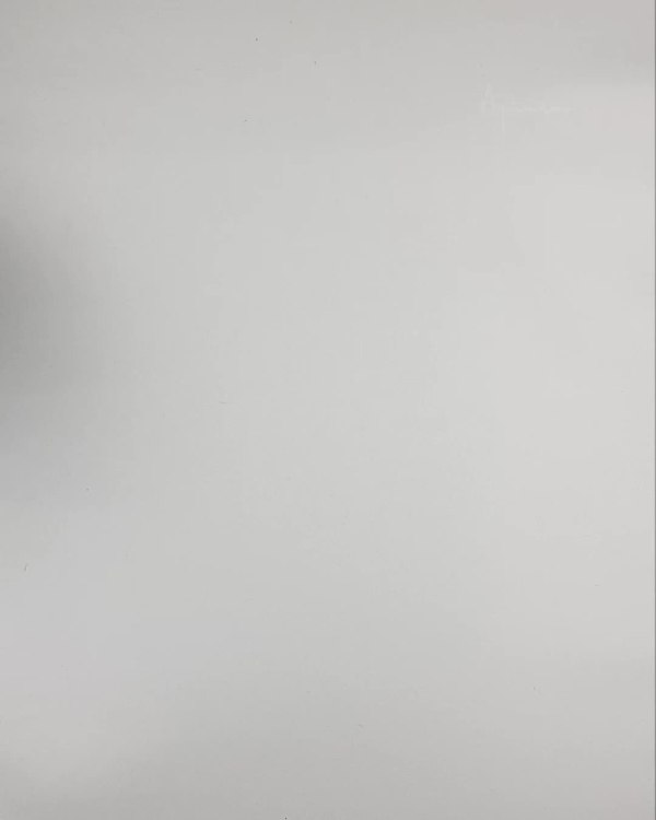 Фотография  980 - Верхняя одежда Дания#10,2 кг ЛОТ №6911 оптом в Екатеринбурге и Свердловской области