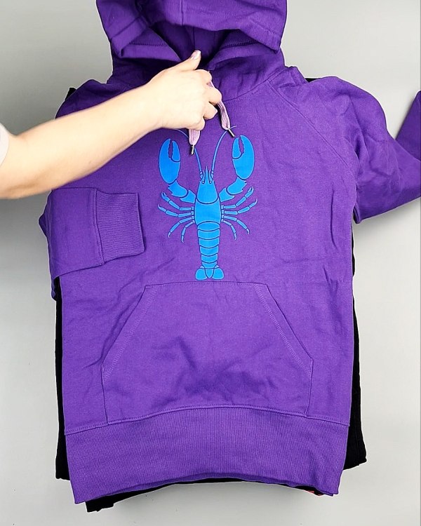 Фотография  798 - Толстовки м/ж (Sweat Tops)#20 кг, ЛОТ №7431 оптом в Екатеринбурге и Свердловской области