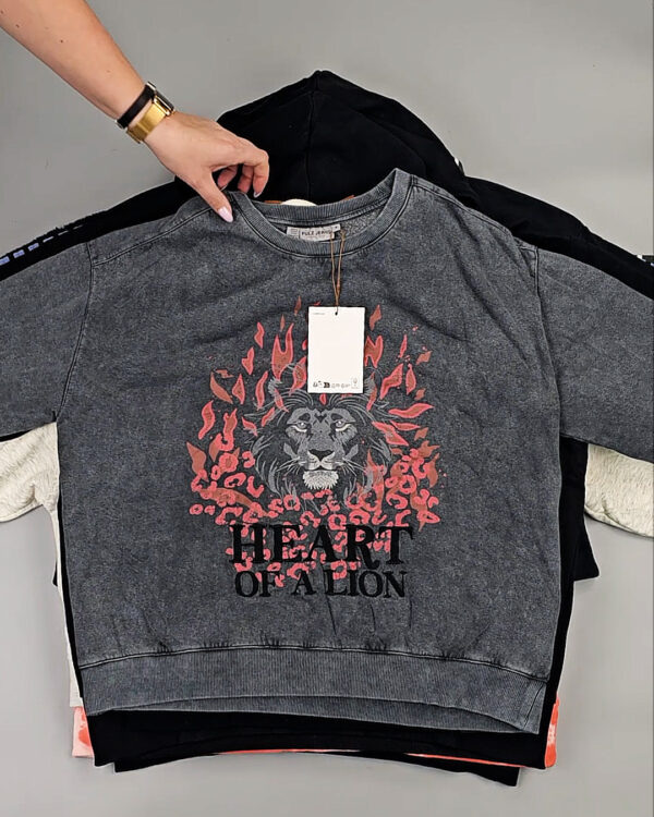 Фотография  663 - Толстовки Bestseller+DK 035#7 кг, ЛОТ СТ-9839 оптом в Екатеринбурге и Свердловской области